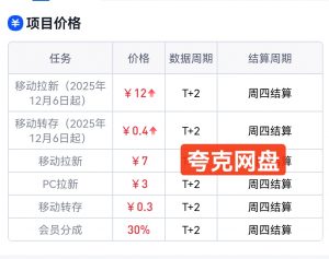 网盘拉新项目-许求邦,创业项目分享平台