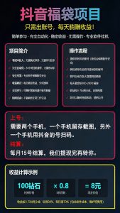 抖音福袋项目-许求邦，创业项目分享平台