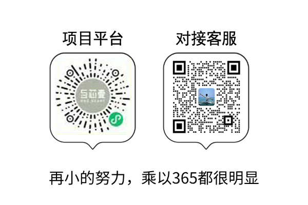 与芯壹项目平台