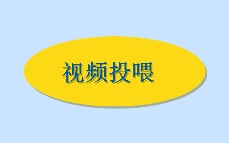 知乎社区视频投喂-许求邦，创业项目分享平台