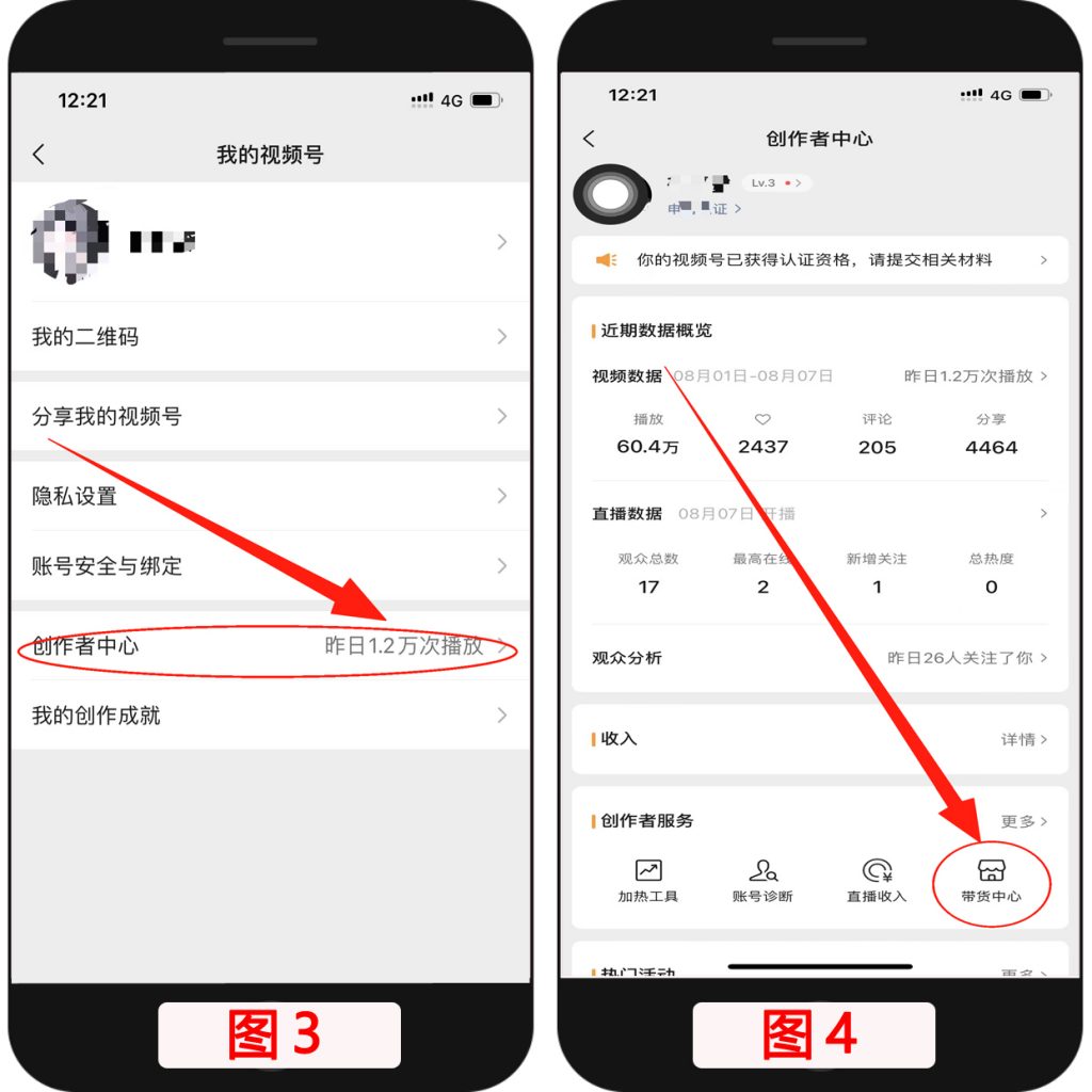 图3和4